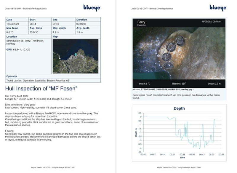 Professional hull scan PDF report